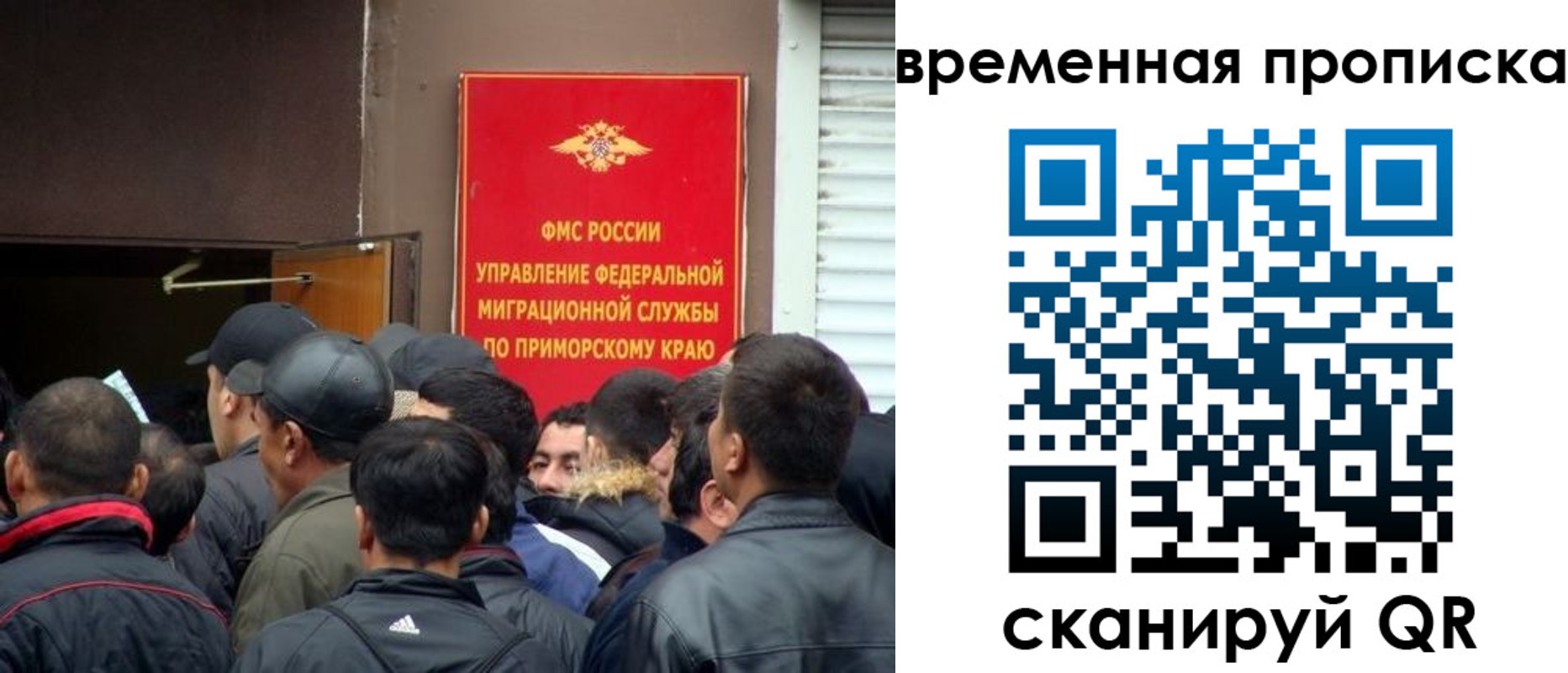 прописка в Волосово